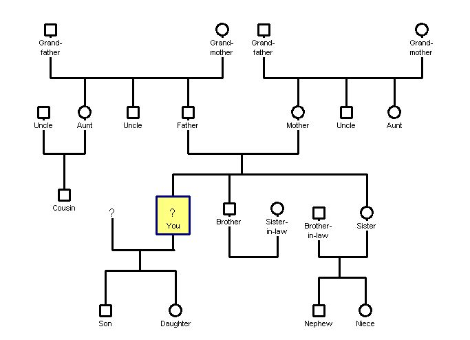 Genogram template for a family