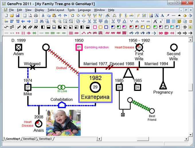 4 Benefits Of Creating A Genogram GenoPro