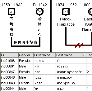 Unicode Support