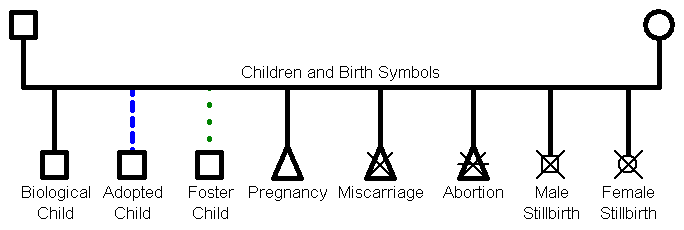 Genogram Symbols for Children