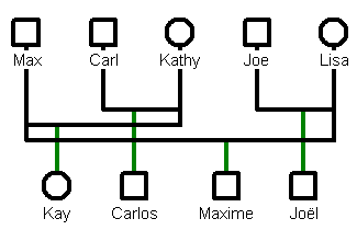 Family Tree With Step Parents And Half Siblings Template from genopro.com