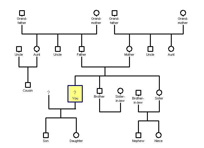 genogram of 3 generations