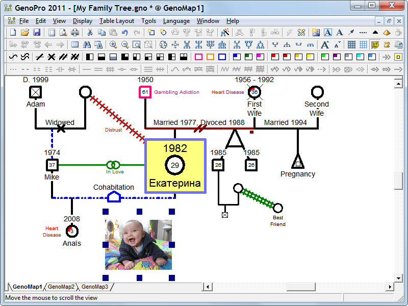 Picture in a genogram