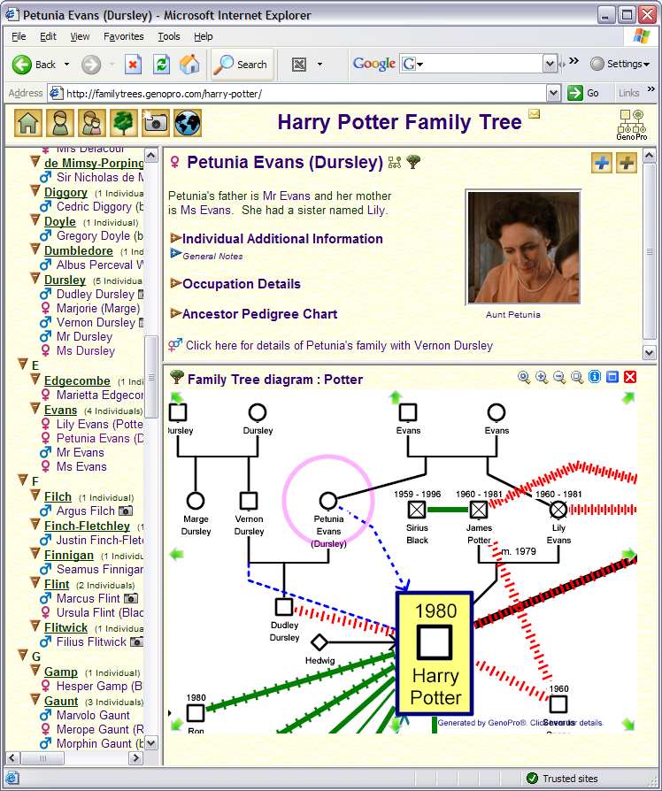 Harry Potter HTML Report
